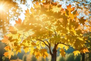 autumn leaves on a tree in the sun. AI-Generated photo