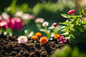 a garden with colorful flowers in the sun. AI-Generated photo