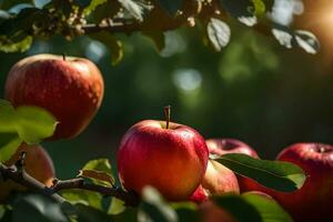 manzanas son creciente en un árbol en el Dom. generado por ai foto