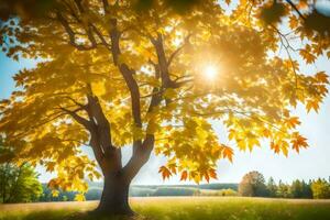 autumn tree in the field with sun shining. AI-Generated photo