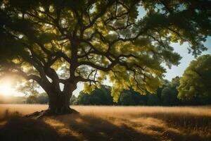 the sun shines through the leaves of an oak tree. AI-Generated photo