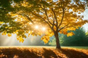 the sun shines through the leaves of a tree in the autumn. AI-Generated photo