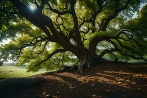 el Dom brilla mediante el ramas de un grande árbol. generado por ai foto