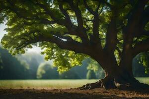 un grande árbol en el medio de un campo. generado por ai foto