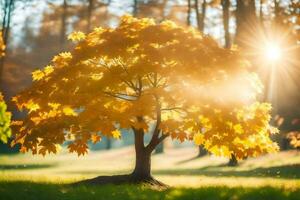 a tree in the middle of a field with the sun shining through it. AI-Generated photo