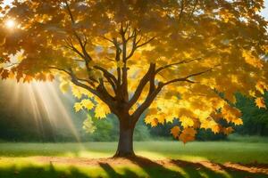 a tree with yellow leaves in the sun. AI-Generated photo