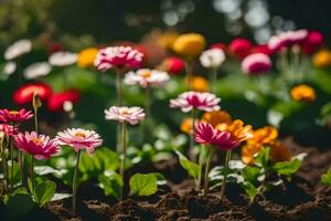 many different colored flowers are growing in the dirt. AI-Generated photo