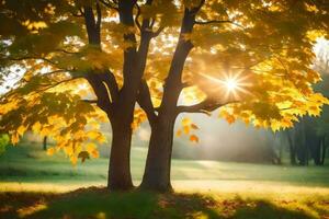two trees in the sun with the sun shining through them. AI-Generated photo