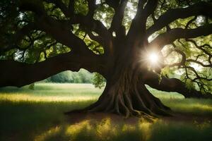 the sun shines through the tree in the middle of a field. AI-Generated photo