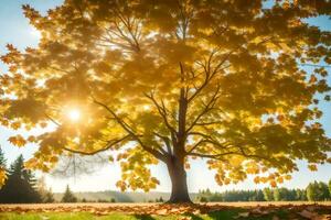 autumn tree with yellow leaves in the sun. AI-Generated photo