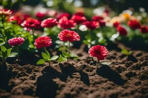 red flowers growing in the dirt. AI-Generated photo