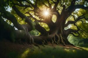 the sun shines through the branches of an old tree. AI-Generated photo