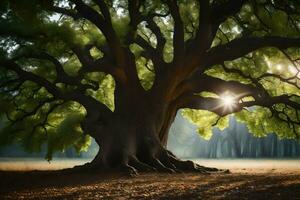 el Dom brilla mediante el hojas de un antiguo roble árbol. generado por ai foto