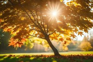 autumn tree with sun shining through leaves. AI-Generated photo