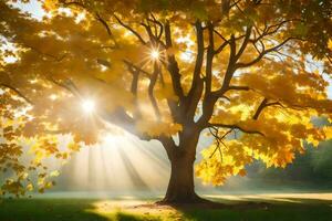 el Dom brilla mediante el hojas de un árbol en el otoño. generado por ai foto