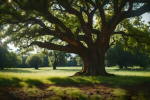 un grande árbol en el medio de un campo. generado por ai foto