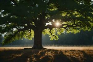 the sun shines through the leaves of an oak tree. AI-Generated photo