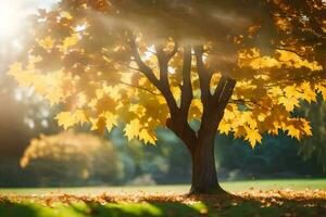 autumn tree in the sun. AI-Generated photo