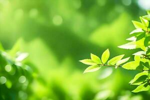green leaves on a tree in the sunlight. AI-Generated photo