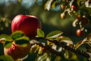 an apple is on a tree branch with leaves. AI-Generated photo