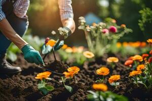 a woman is planting flowers in the garden. AI-Generated photo