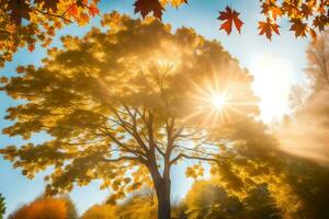 autumn leaves in the sun. AI-Generated photo