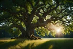 el Dom brilla mediante el ramas de un antiguo roble árbol. generado por ai foto