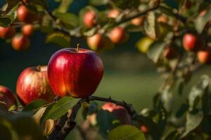 red apples on a tree in the sun. AI-Generated photo