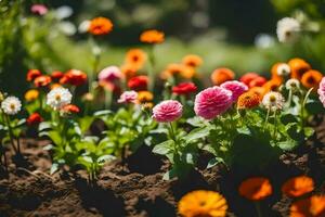 many different colored flowers are growing in the dirt. AI-Generated photo