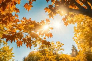 autumn leaves on the trees in the sun. AI-Generated photo