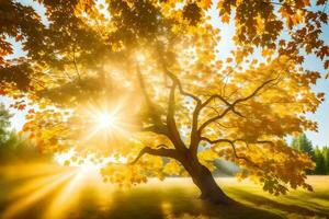 el Dom brilla mediante el hojas de un otoño árbol. generado por ai foto