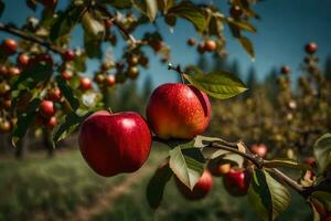 manzanas en un árbol en un huerta. generado por ai foto