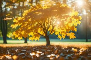 autumn tree in the park with sun shining through leaves. AI-Generated photo