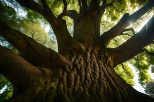 the sun shines through the canopy of a large tree. AI-Generated photo