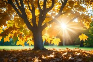 autumn tree with sun shining through leaves. AI-Generated photo