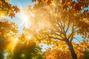 otoño hojas en el suelo en un parque. generado por ai foto