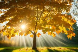 el Dom brilla mediante el hojas de un árbol en el otoño. generado por ai foto