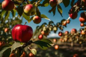 un manzana árbol con muchos rojo manzanas en él. generado por ai foto