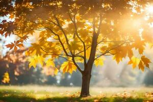 otoño árbol en el parque con el Dom brillante a través de. generado por ai foto