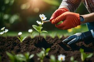 a person in gloves and an orange hat is planting flowers. AI-Generated photo