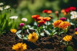 many different colored flowers are growing in the dirt. AI-Generated photo