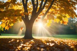 autumn leaves on the ground in front of a tree. AI-Generated photo