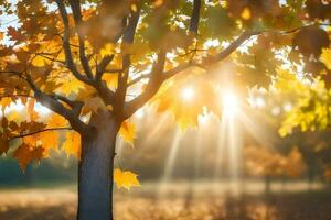 autumn tree with sun shining through leaves. AI-Generated photo