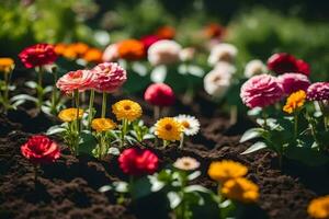 many different colored flowers are growing in the dirt. AI-Generated photo