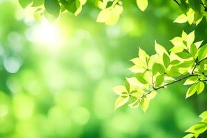 green leaves on a sunny day. AI-Generated photo