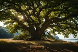 the sun shines through the branches of an old oak tree. AI-Generated photo