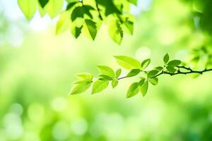 green leaves on a tree branch in the sunlight. AI-Generated photo