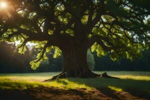 el Dom brilla mediante el hojas de un roble árbol. generado por ai foto