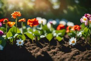 many different colored flowers are growing in the dirt. AI-Generated photo