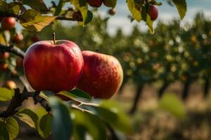 two apples are on the branch of an apple tree. AI-Generated photo